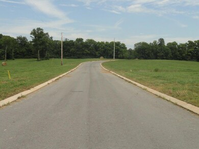 202 Honeysuckle Ln, Shelbyville, TN 37160 - photo 7