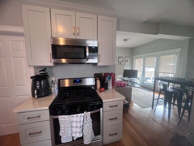 247 L St unit 1, Boston, MA 02127 - photo 4
