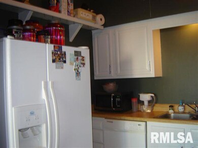 4023 Lillie Ave unit 501, Davenport, IA 52806 - photo 5