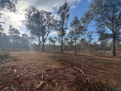 Lot 1 TBD County Road 4108, Henderson, TX 75654 - photo 6