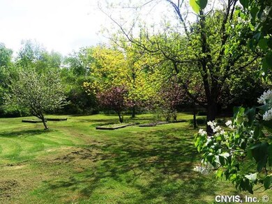 Yard. Private yard with fruit trees.