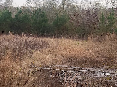 0 Louisiana 169, Greenwood, LA 71033 - photo 4