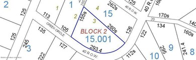 TALLAPOOSA_MAP1718375924816 (1)