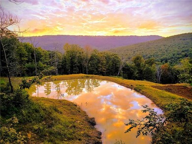 unlisted-address, Winslow, AR 72959 - photo 2