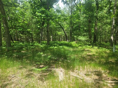 VL Jackie, Baldwin, MI 49304 - photo 3