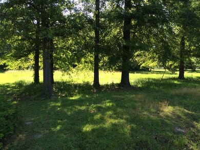 0 8th Ave SW unit 15-726, Childersburg, AL 35044 - photo 6