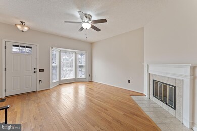 7216 Stover Ct, Alexandria, VA 22306 - photo 6