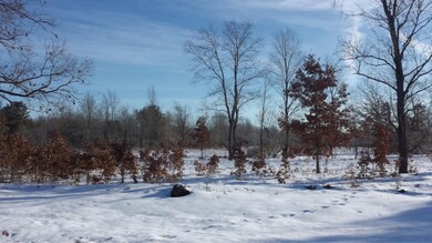 0 S Luce Ave unit 15004924, Fremont, MI 49412 - photo 4