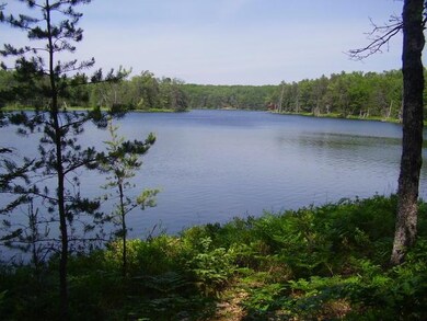 View # 3 Elevated View Cranberry Lake