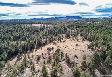 000 Twinkle Rd, Guffey, CO 80820 - photo 2