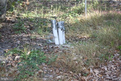 0 Crystal Falls Dr unit MDWA179600, Smithsburg, MD 21783 - photo 6