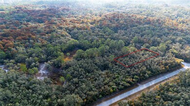 0 Rose Bloom Lot 7 Ave unit MFRTB8450296, Webster, FL 33597 - photo 6