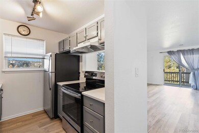 1263 S Gilbert St unit B-201, Castle Rock, CO 80104 - photo 5