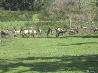 15005 129th Ln SE, Yelm, WA 98597 - photo 4