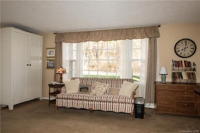 910 20 Brookside Camp Rd unit 20, Hendersonville, NC 28792 - photo 4