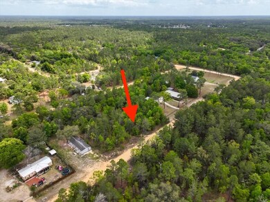 0 Patch St, Interlachen, FL 32148 - photo 6