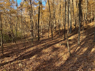 0 Madison 4095 unit 1204133, Crosses, AR 72727 - photo 5