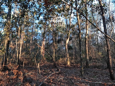 000 Flamingo Ct unit none, Monticello, FL 32344 - photo 3