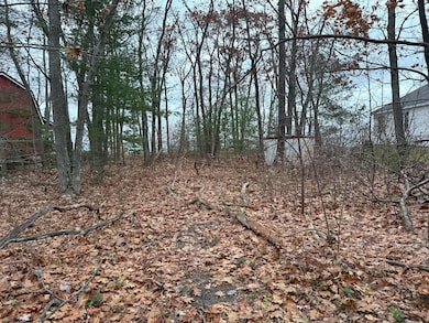 10895 Huron Trail, Cheboygan, MI 49721 - photo 4