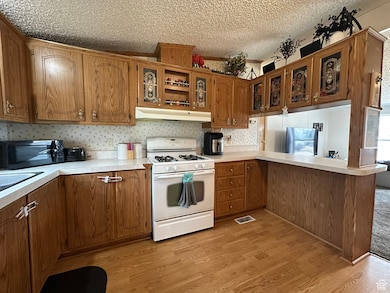 190 W 400 St S, Fillmore, UT 84631 - photo 6