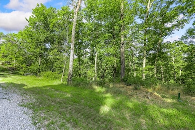 Lot 81 Restore Ridge, Harrison, AR 72601 - photo 3