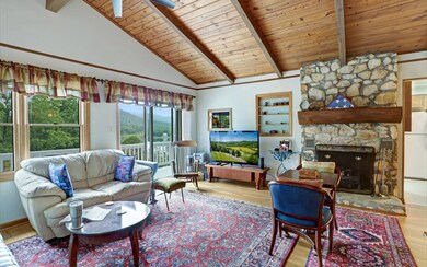 556 Twin Mountain Rd, Hiawassee, GA 30546 - photo 4