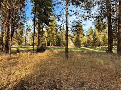 0 Merganser Rd unit Lot 106 220174097, Klamath Falls, OR 97601 - photo 4