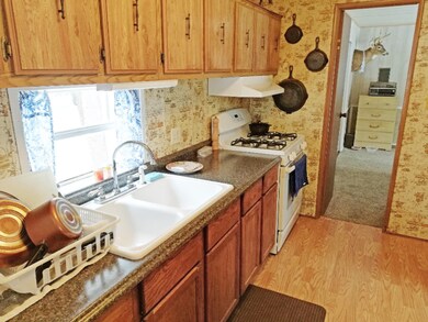 653 Home Acres St, Brohman, MI 49312 - photo 4