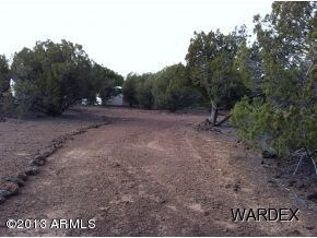 5433 N Kit Fox Trail unit 239, Kingman, AZ 86401 - photo 3
