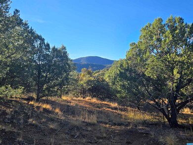 xxx Sanctuary Rd, Silver City, NM 88061 - photo 3