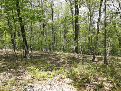 261 Blacksmith Dr, North Abingtnorth Township, PA 18414 - photo 2