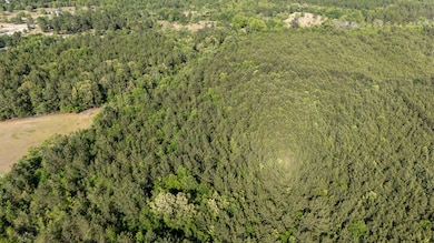 9-web-or-mls-DJI_20250505172731_0195_D