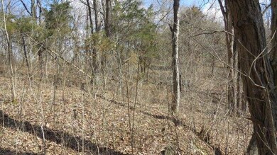 1 Baxter Ridge Rd, Lawrenceburg, KY 40342 - photo 7