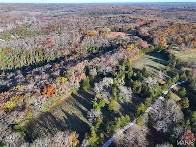 0 Scanlon Dr, de Soto, MO 63020 - photo 2