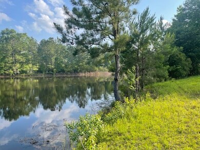 Pond View