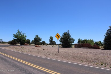 Canyon Vista Estates-Paved Roads