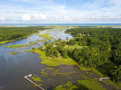 3911 E Runnel, Wilmington, NC 28409 - photo 3