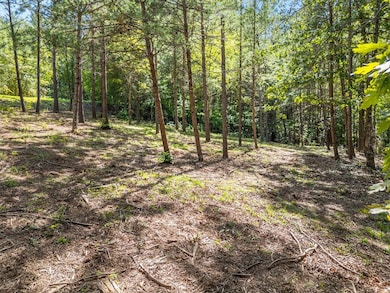 Lot 9 Mooring Line Dr, Seneca, SC 29672 - photo 5