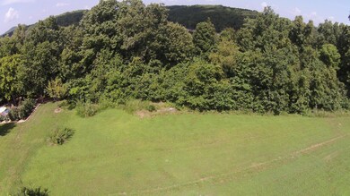 DJI00415