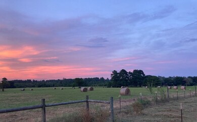 34010 Old Hempstead Rd, Magnolia, TX 77355 - photo 2