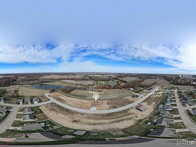 1123 Waymaker Ln, Waterloo, IL 62298 - photo 6