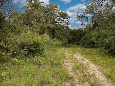 TBD E Old Hickory Grove Road Co Ne County Rd NE, Franklin, TX 77856 - photo 5