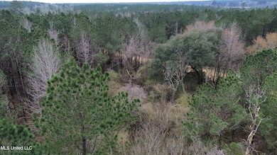 0 Mount Gilead Rd, McCall Creek, MS 39647 - photo 3