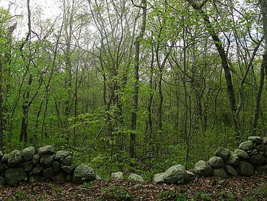 1490 Shermantown Rd, Saunderstown, RI 02874 - photo 2