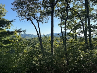 Lot 21 Hubble Way, Topton, NC 28781 - photo 4