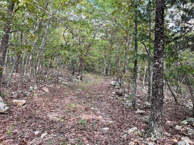 Land for Sale in Fulton County2