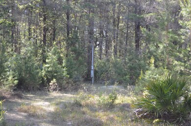 000 Sea Eagle Dr, Keaton Beach, FL 32348 - photo 5