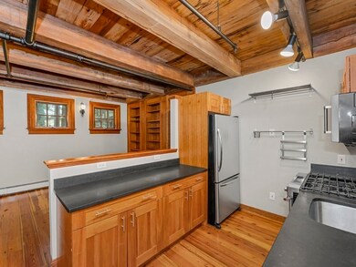 253 River St unit 253, Cambridge, MA 02139 - photo 3