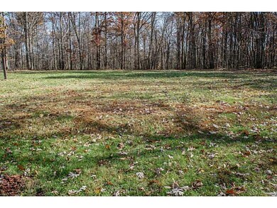 Yard/Garden.