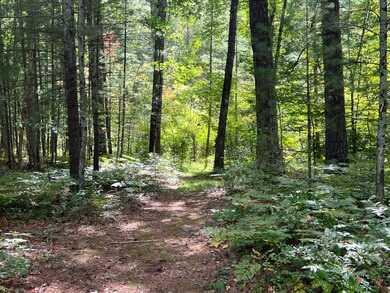 13125 Kt Dr, Bitely, MI 49309 - photo 5